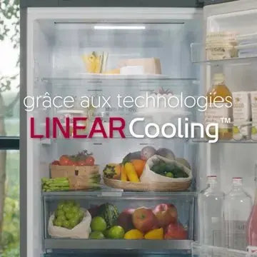 Réfrigérateur combiné	LG	GBP31SWLZN
