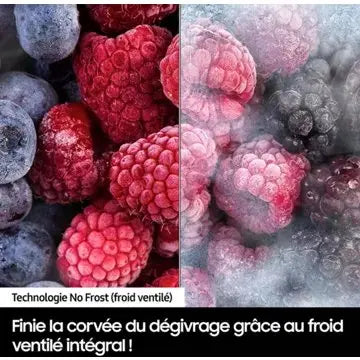 Réfrigérateur combiné encastrable SAMSUNG 	BRB30603EWW 194cm