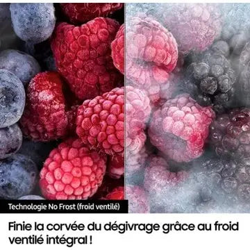 Réfrigérateur multi portes	SAMSUNG 	RF65DG960ESR