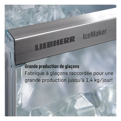 Réfrigérateur multi portes LIEBHERR MBbsdi 9024-20 Biofresh